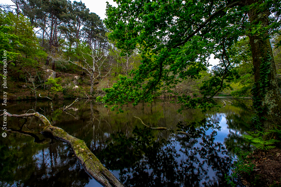 La vallée des&nbsp;Traouiero