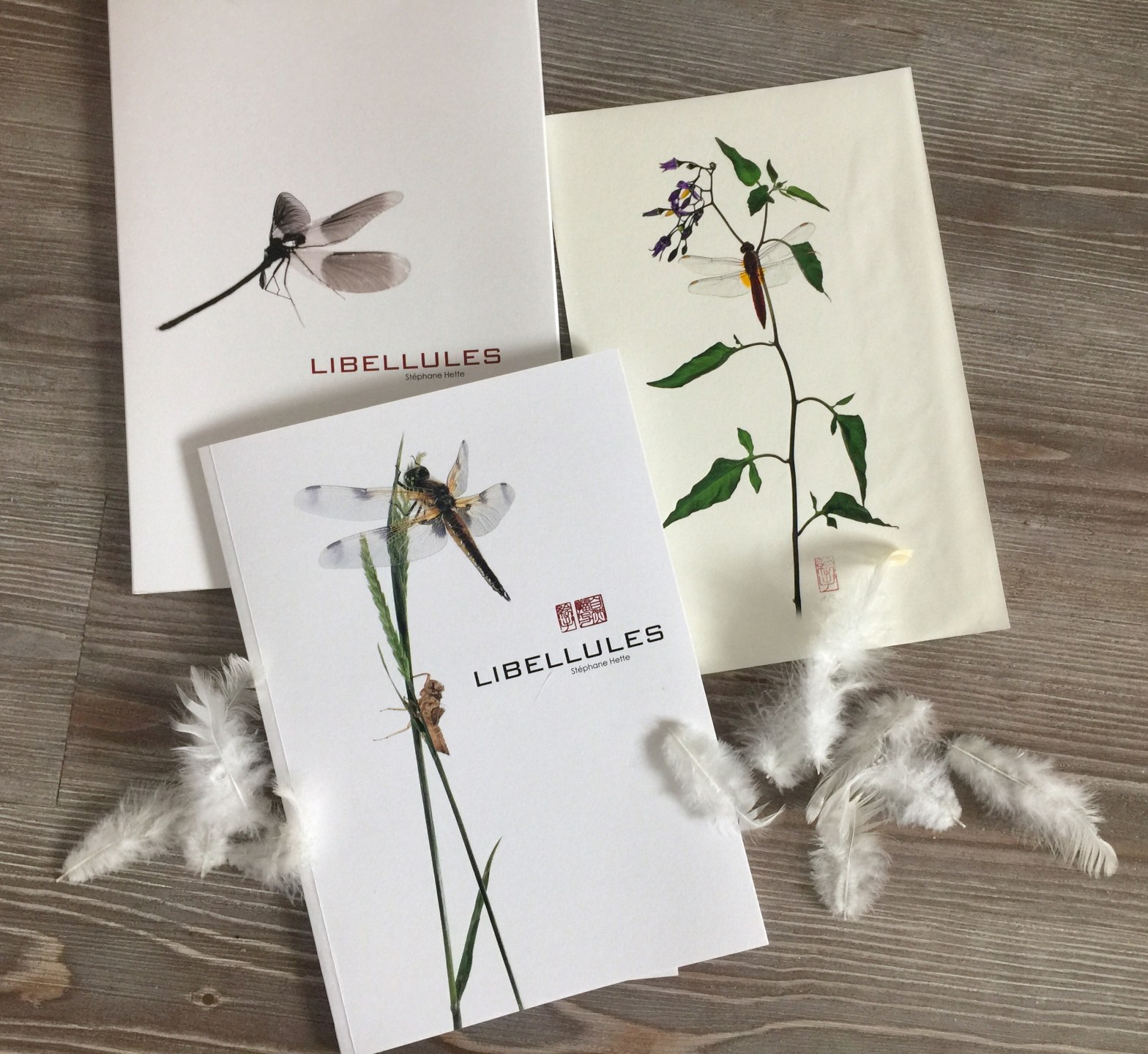 Libellules de Stéphane&nbsp;Hette